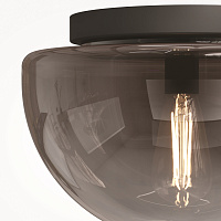 Maytoni Modern Glassy Потолочный светильник цвет: черный MOD270CL-01B