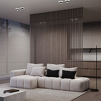 Maytoni Technical Amary Встраиваемый светильник цвет: черный DL062-GU10-B