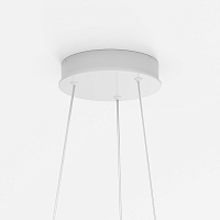 Maytoni Modern Rim Подвесной светильник цвет: белый MOD058PL-L22WK