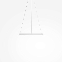 Maytoni Modern Rim Подвесной светильник цвет: белый MOD058PL-L32WK