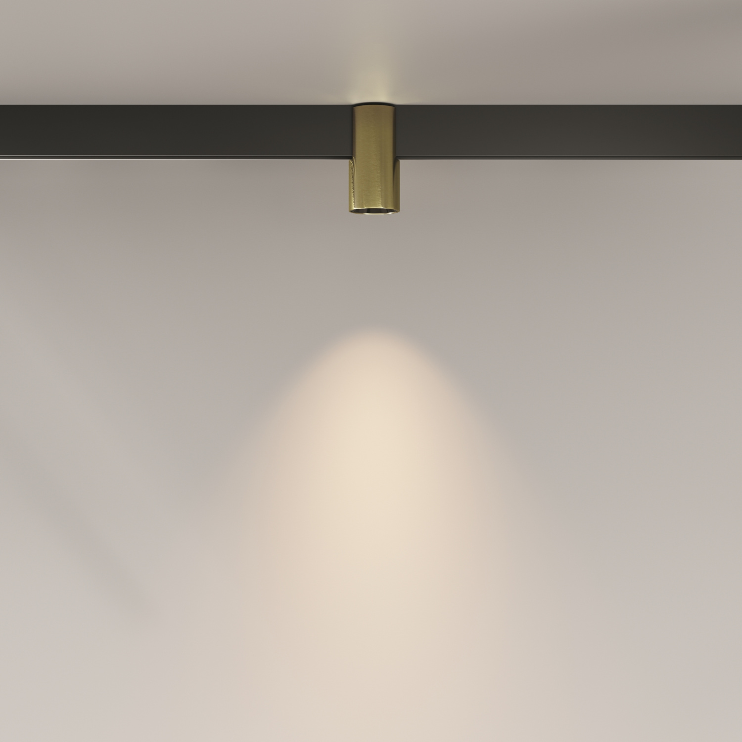 Maytoni Technical Alfa Трековый светильник цвет: латунь TR122-2-7W3K-BS