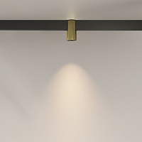 Maytoni Technical Alfa Трековый светильник цвет: латунь TR122-2-7W3K-BS