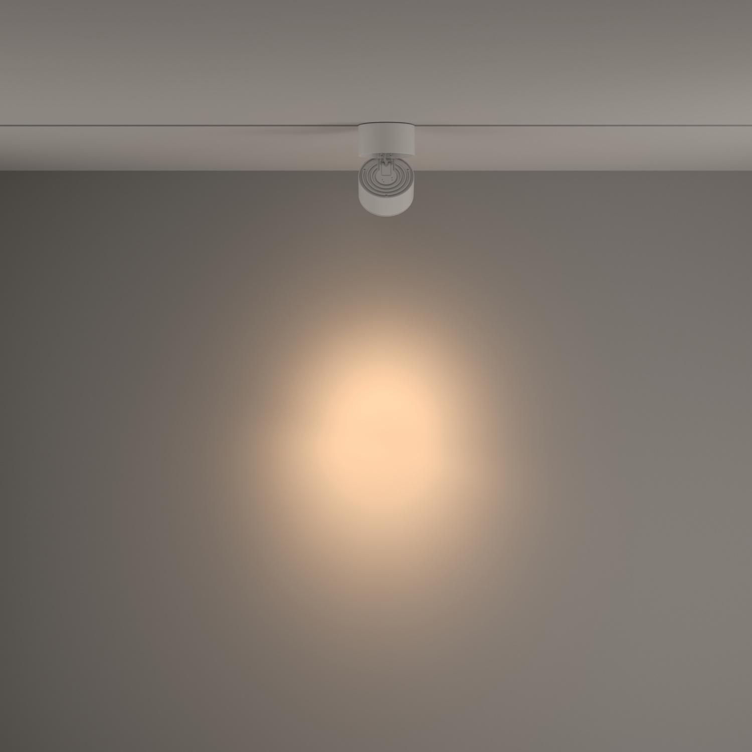 Maytoni Technical Yin Трековый светильник цвет: белый TR084-1-15W3K-W