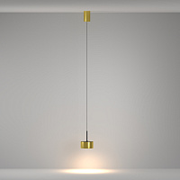 Maytoni Technical Glare Подвесной светильник цвет: латунь P102PL-12W3K-BS