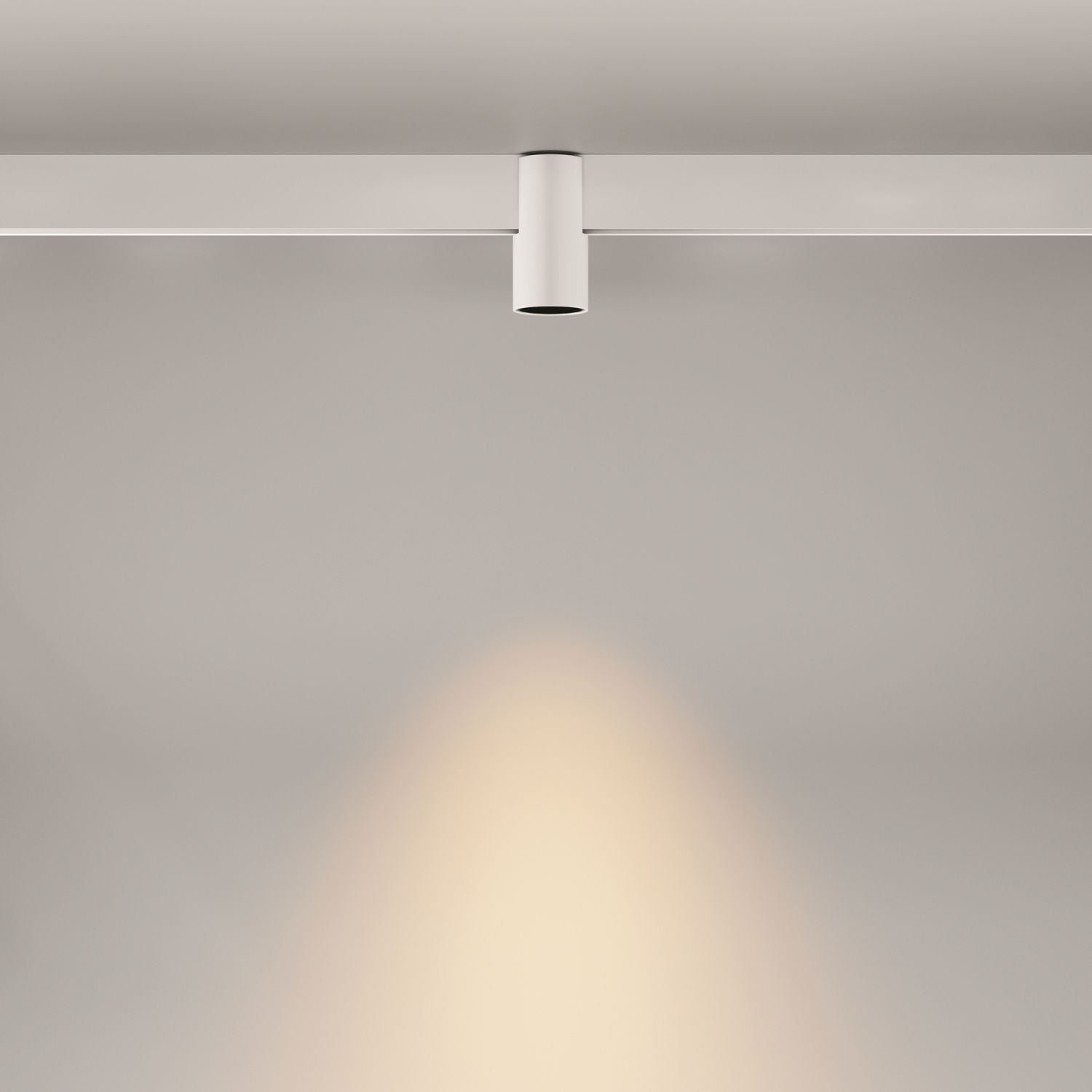 Maytoni Technical Alfa Трековый светильник цвет: черный TR122-2-7W3K-W