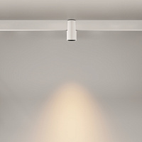 Maytoni Technical Alfa Трековый светильник цвет: черный TR122-2-7W3K-W