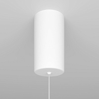 Maytoni Technical Ray Подвесной светильник цвет: белый P022PL-L10W