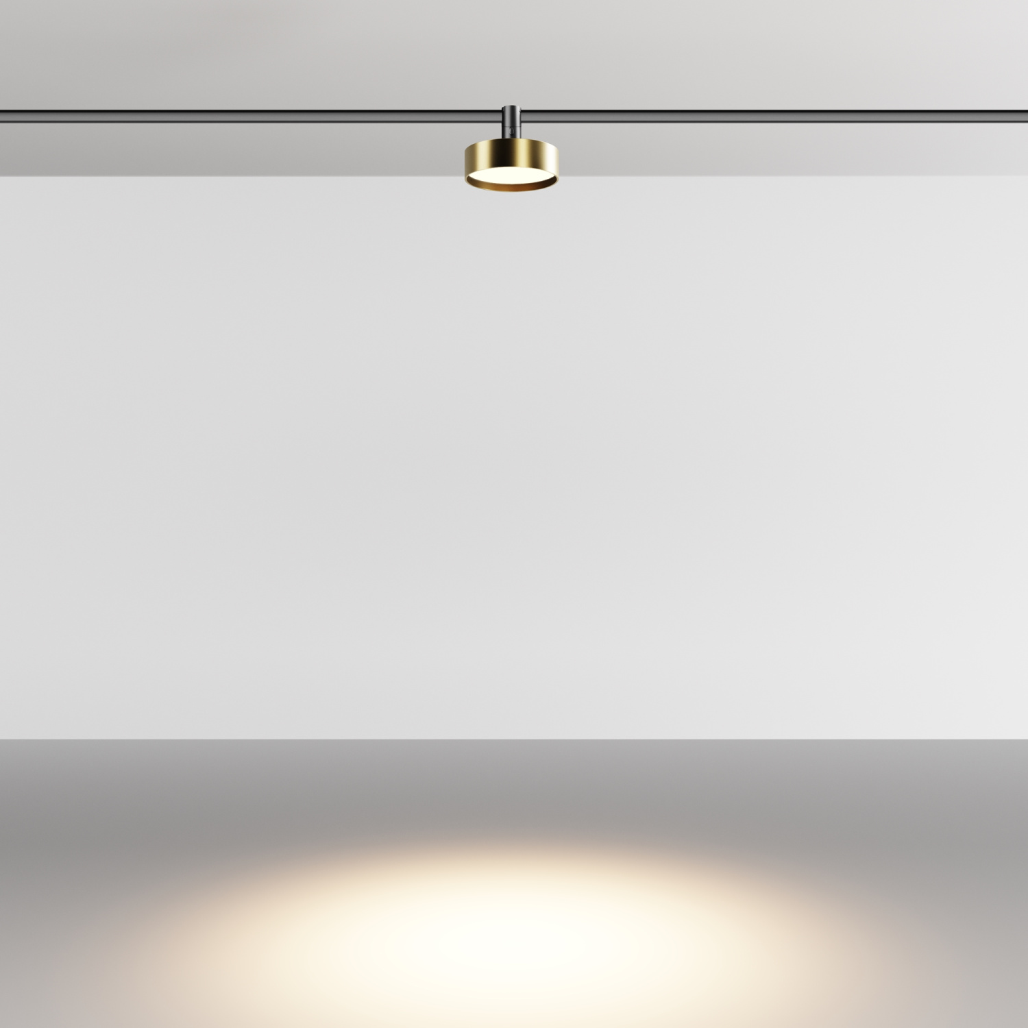 Maytoni Technical Zon Трековый светильник цвет: латунь TR204-1-12W3K-BBS