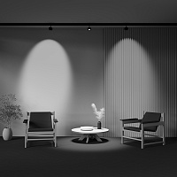 Maytoni Technical Lens Трековый светильник цвет: черный TR217-2-15W3K-B