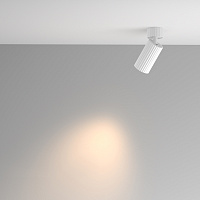 Maytoni Technical Calipso Потолочный светильник цвет: белый C108CL-01-GU10-W