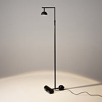 Maytoni Modern Pikant Напольный светильник (торшер) цвет: черный MOD372FL-L10B3K