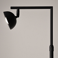 Maytoni Modern Pikant Напольный светильник (торшер) цвет: черный MOD372FL-L10B3K