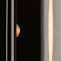 Maytoni Modern Theorema Настенный светильник (бра) цвет: черный MOD288WL-L5B3K