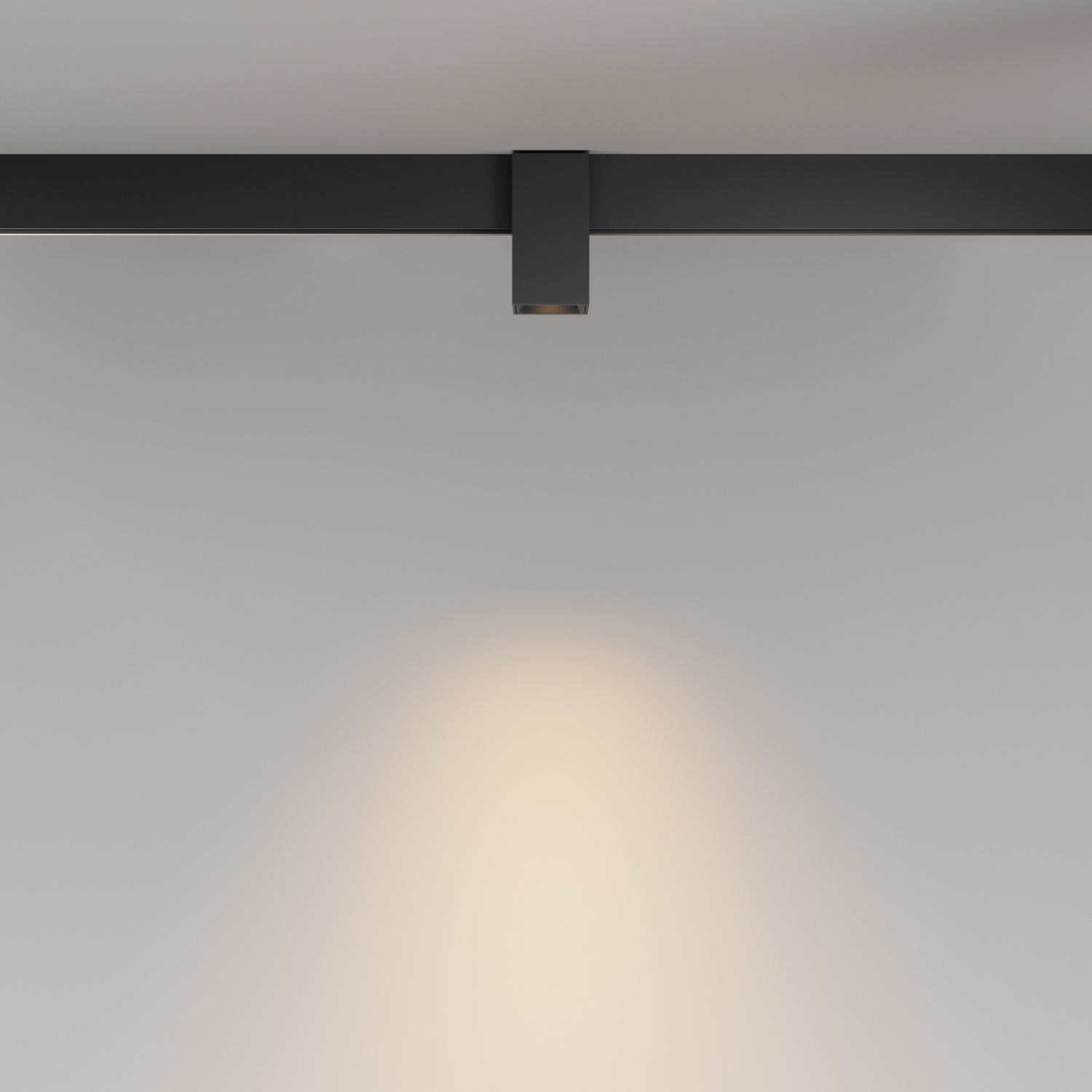 Maytoni Technical Alfa Трековый светильник цвет: черный TR121-2-7W3K-B