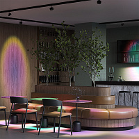 Maytoni Technical Lens Трековый светильник цвет: черный TR217-2-15W4K-B