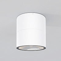 Maytoni Outdoor Spin Потолочный светильник цвет: белый O310CL-L12W3K