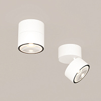 Maytoni Outdoor Spin Потолочный светильник цвет: белый O310CL-L12W3K