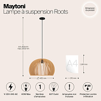 Maytoni Modern Roots Подвесной светильник цвет: черный MOD195PL-01W1