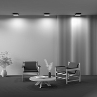 Maytoni Technical Zon Потолочный светильник цвет: черный C032CL-24W4K-SQ-B