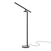 Maytoni Modern Empathy Напольный светильник (торшер) цвет: черный MOD363FL-L14B3K