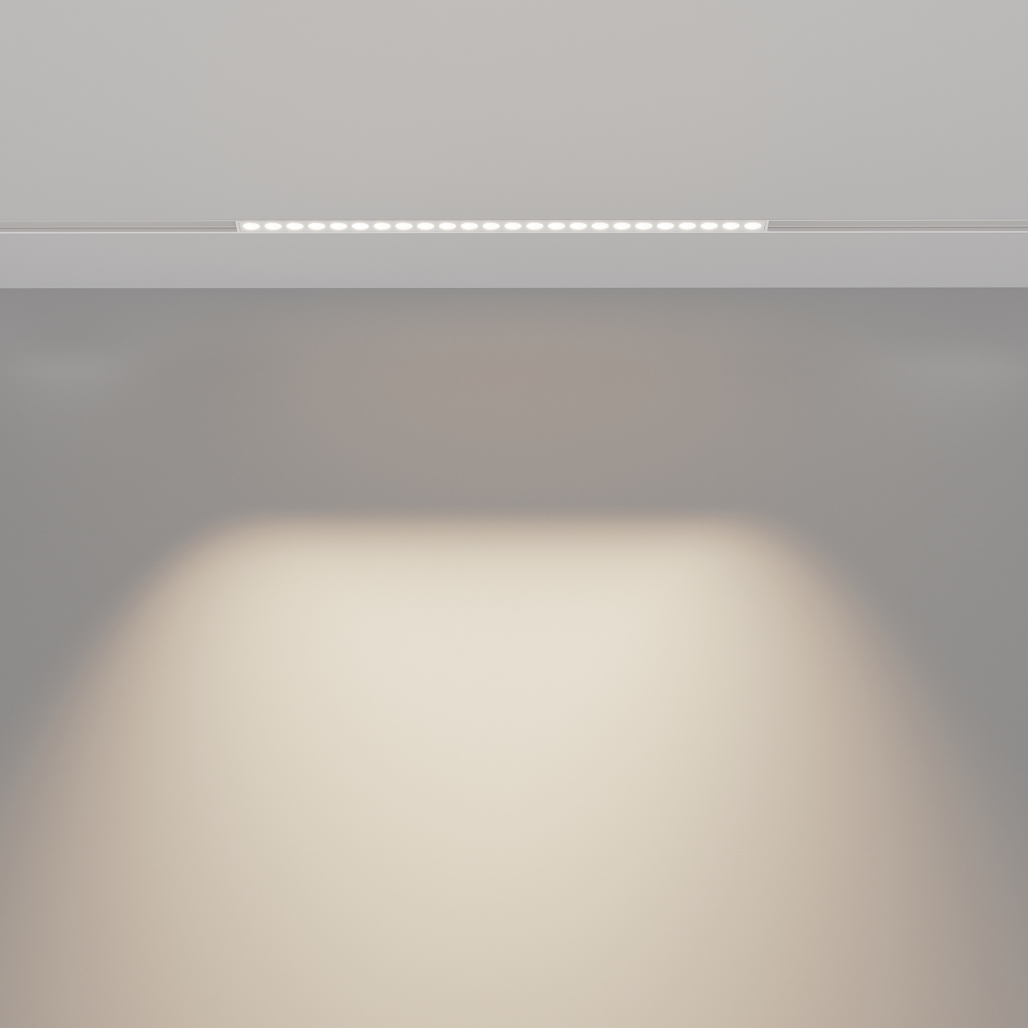 Maytoni Technical Points Трековый светильник цвет: белый TR031-2-24W4K-W