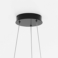 Maytoni Modern Rim Подвесной светильник цвет: черный MOD058PL-L32BK