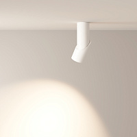 Maytoni Technical Dafne Потолочный светильник цвет: белый C027CL-L10W4K