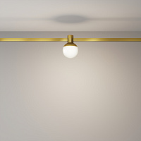 Maytoni Technical Luna Трековый светильник цвет: латунь TR149-1-5W4K-BS