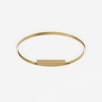 Maytoni Modern Rim Потолочный светильник цвет: латунь MOD058CL-L50BSK