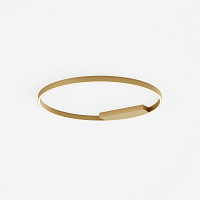 Maytoni Modern Rim Потолочный светильник цвет: латунь MOD058CL-L50BSK