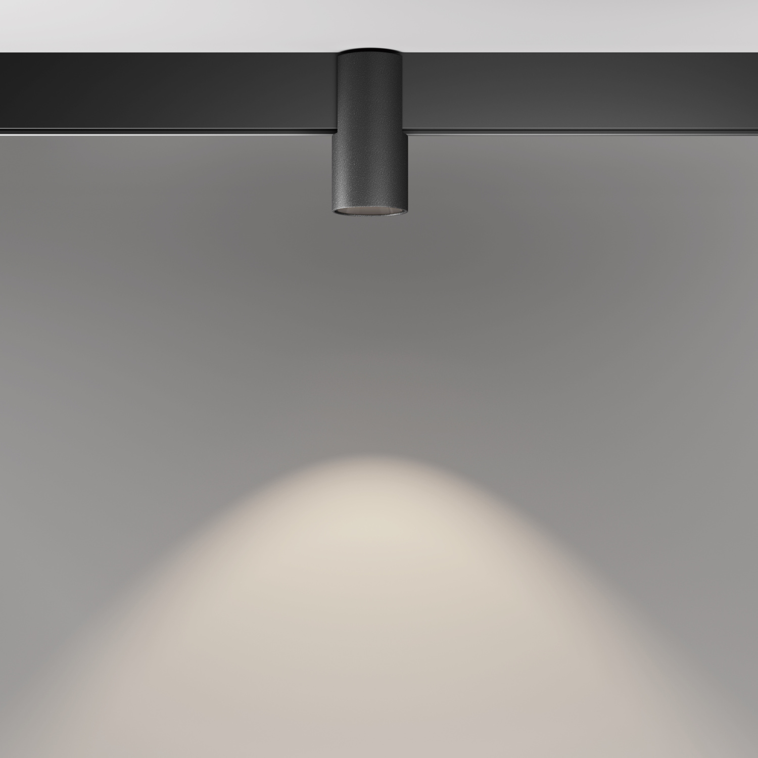 Maytoni Technical Alfa Трековый светильник цвет: черный TR122-2-7W4K-B