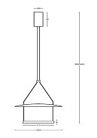Maytoni Modern Ambience Подвесной светильник цвет: черный MOD280PL-L23B3K