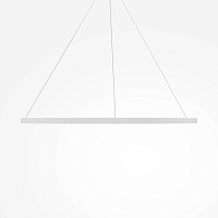 Maytoni Modern Rim Подвесной светильник цвет: белый MOD058PL-L65WK