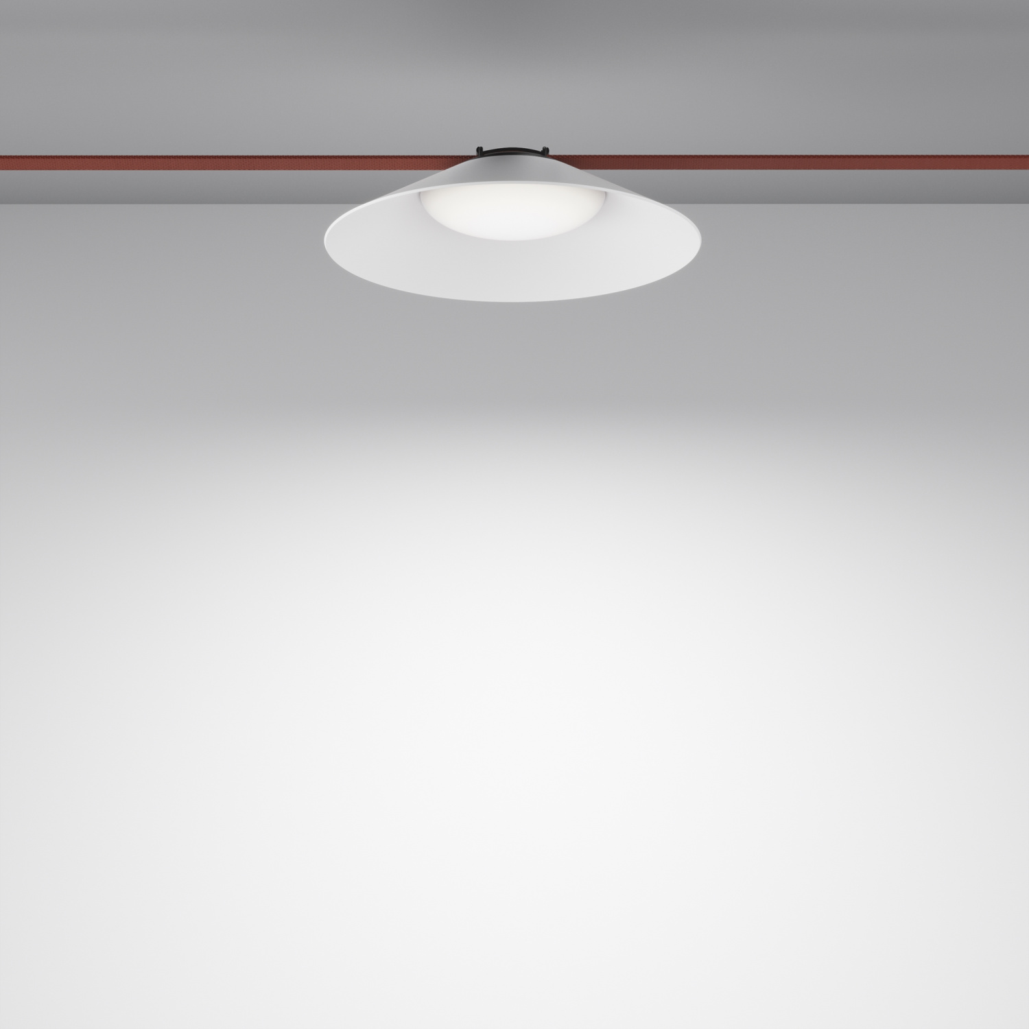 Maytoni Technical Campana Подвесной светильник цвет: черный TR127B-12W4K-W