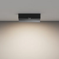 Maytoni Technical Basis Rot Потолочный светильник цвет: черный C133CL-12W4K-B