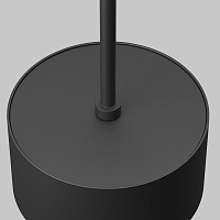 Maytoni Technical Glare Подвесной светильник цвет: черный P102PL-12W4K-B