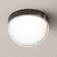 Maytoni Outdoor Mon Потолочный светильник цвет: графит O438CL-L12GF3K