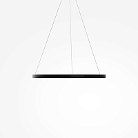 Maytoni Modern Rim Подвесной светильник цвет: черный MOD058PL-L42BK