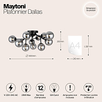 Maytoni Modern Dallas Потолочный светильник цвет: черный MOD545CL-12B
