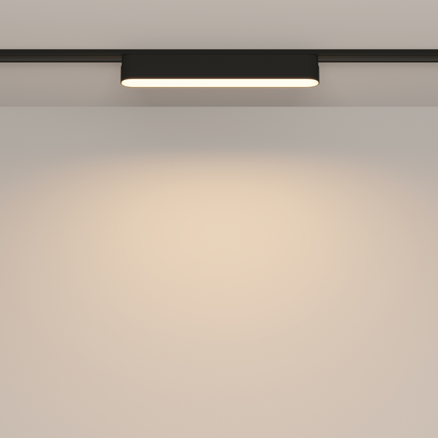 Maytoni Technical Basis Трековый светильник цвет: черный TR080-1-12W3K-B