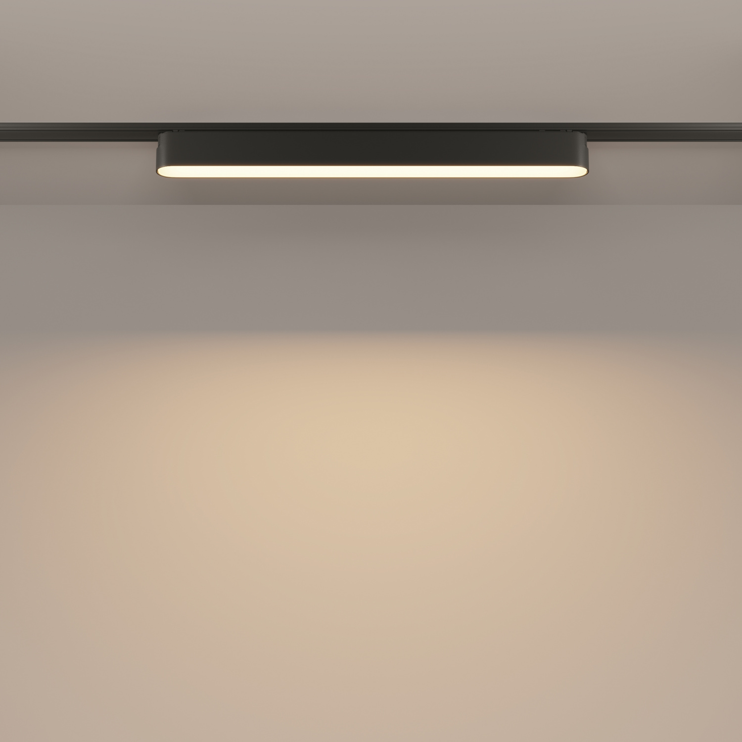 Maytoni Technical Basis Трековый светильник цвет: черный TR080-1-18W3K-B