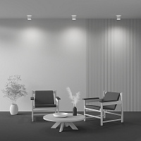 Maytoni Technical Planet Потолочный светильник цвет: белый C009CW-L12W4K