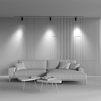 Maytoni Technical Elti Трековый светильник цвет: черный TR005-2-12W4K-B