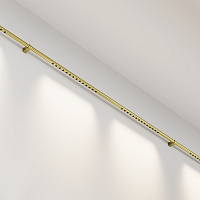 Maytoni Technical Points Светильник цвет: латунь C101CL-L1000-24W3-6K-BS