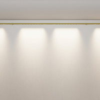 Maytoni Technical Points Светильник цвет: латунь C101CL-L1000-24W3-6K-BS