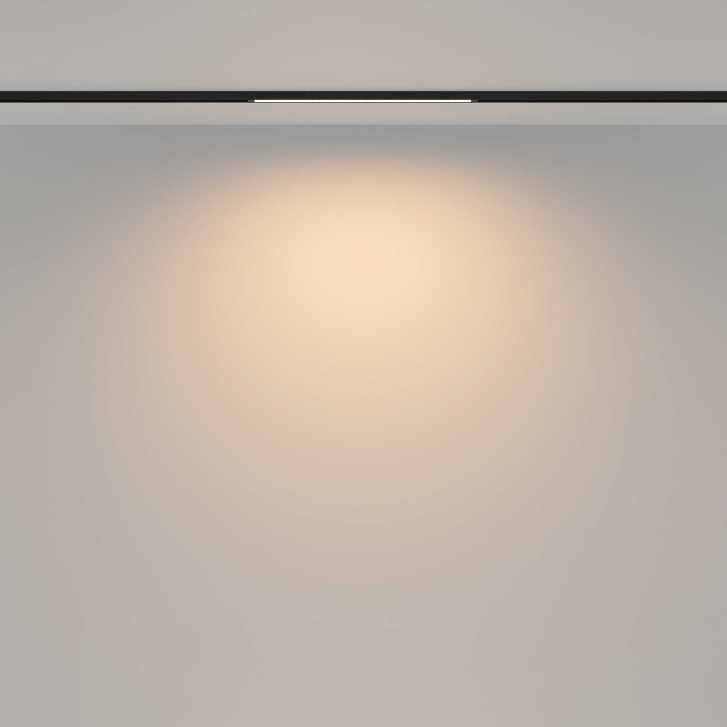 Maytoni Technical Basis Трековый светильник цвет: черный TR173-1-8WTW-B