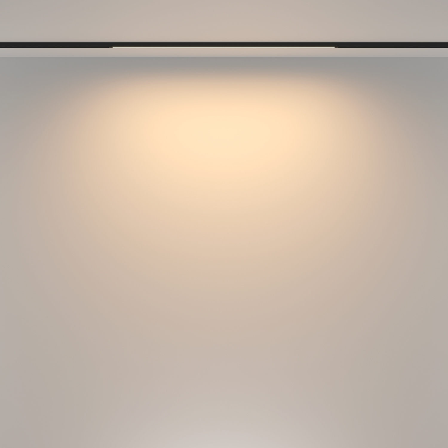 Maytoni Technical Basis Трековый светильник цвет: черный TR173-1-16WTW-B