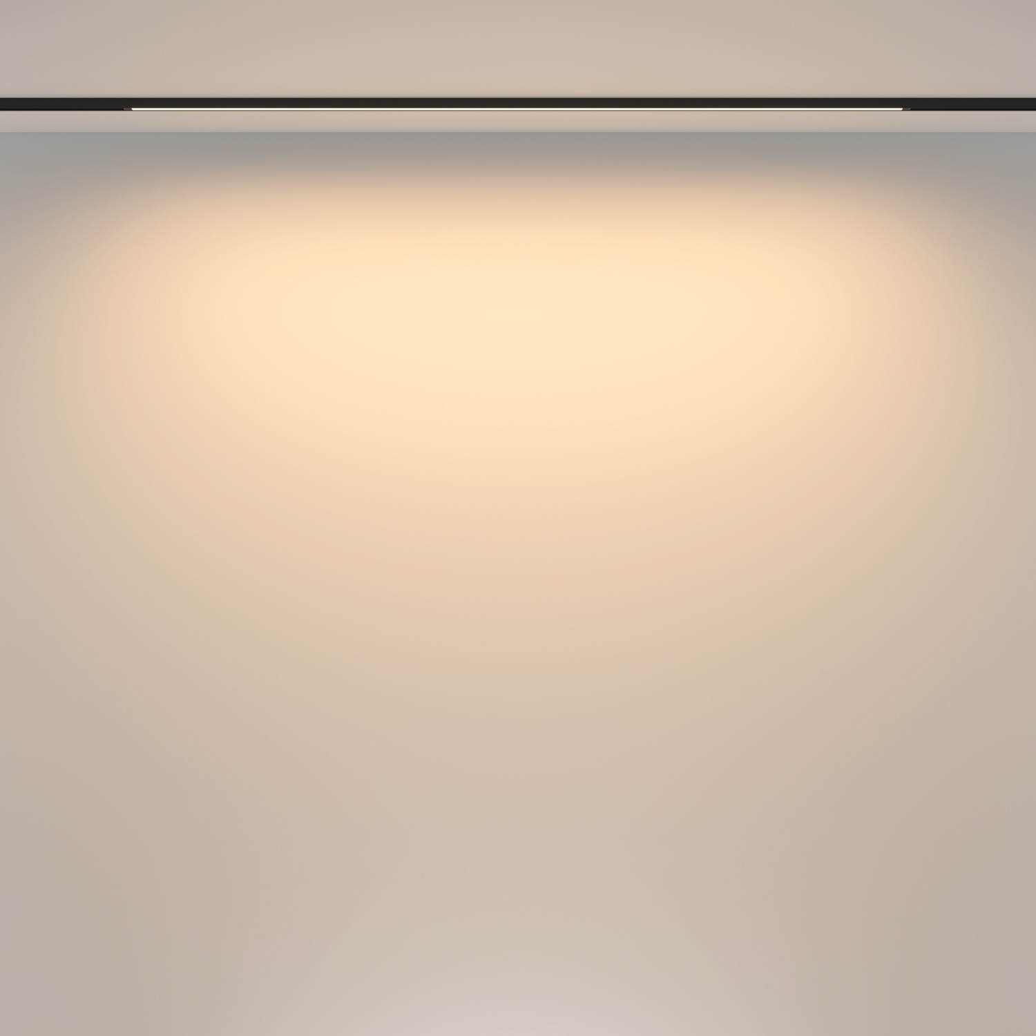 Maytoni Technical Basis Трековый светильник цвет: черный TR173-1-24WTW-B