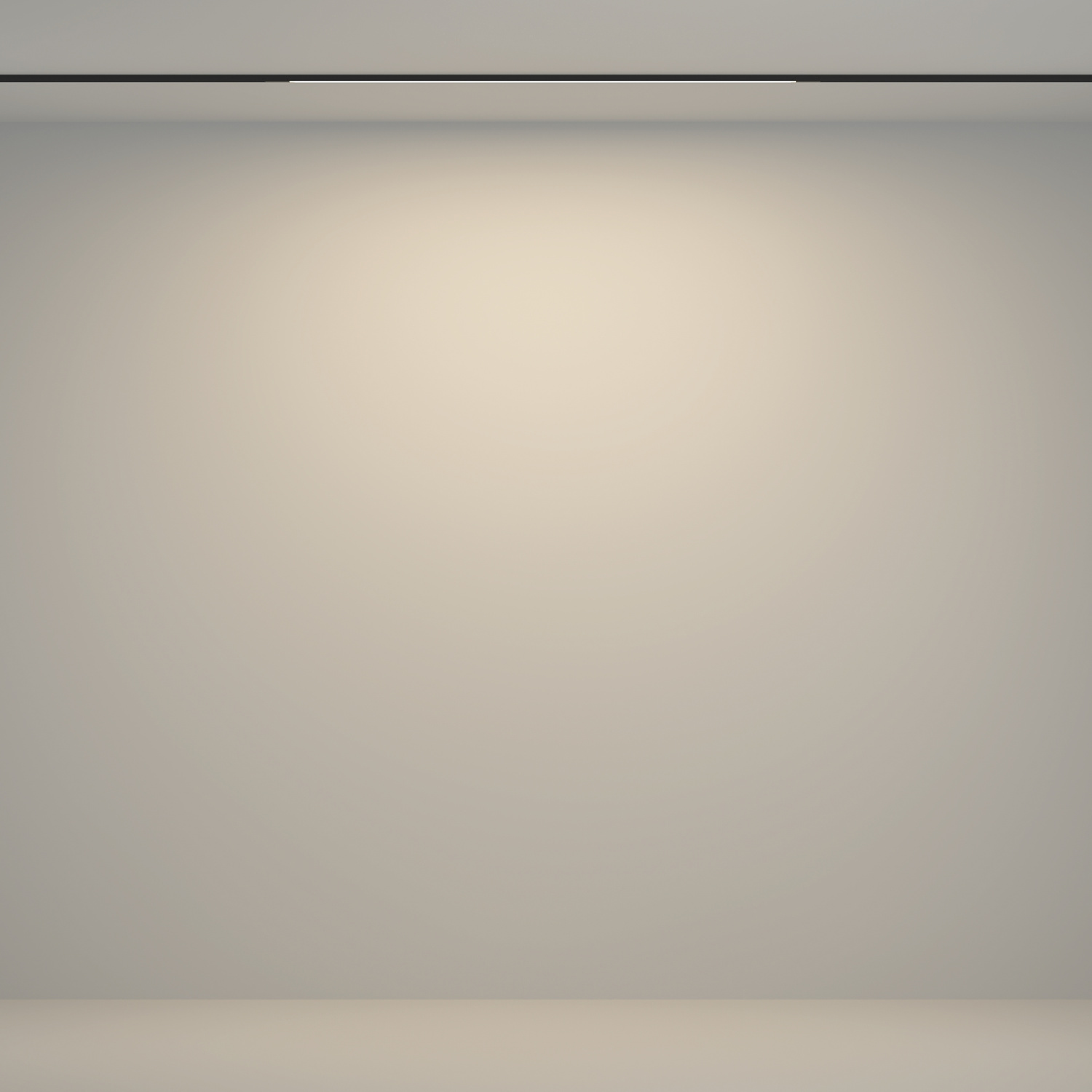 Maytoni Technical Flex Трековый светильник цвет: черный TR180-1-12WTW-B