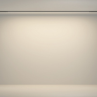 Maytoni Technical Flex Трековый светильник цвет: черный TR180-1-24WTW-B